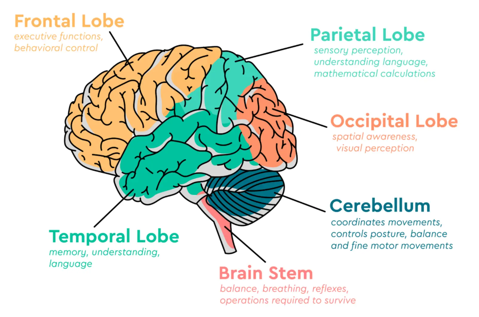 Can-Hearing-Aids-Really-Reduce-the-Risk-of-Dementia-Depression-and-Accidents Linner